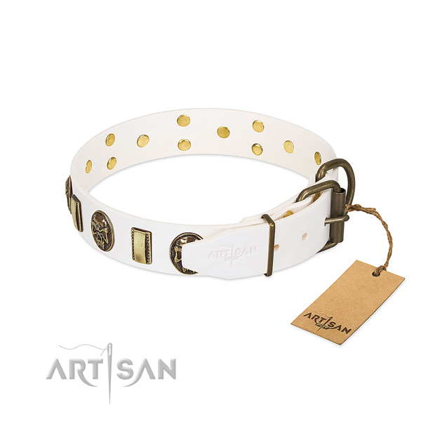 Strong hardware on full grain leather collar for everyday walking your pet