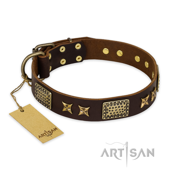 Fine quality leather dog collar with reliable D-ring