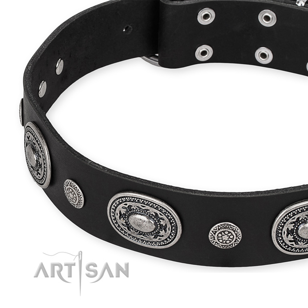 Soft full grain natural leather dog collar handcrafted for your impressive dog
