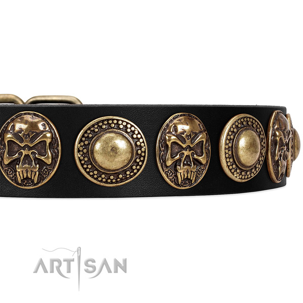 Full grain genuine leather dog collar with embellishments for everyday use