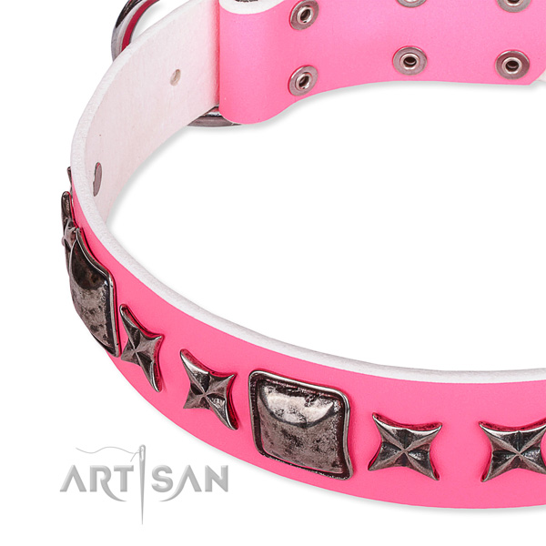 Everyday use embellished dog collar of high quality full grain leather