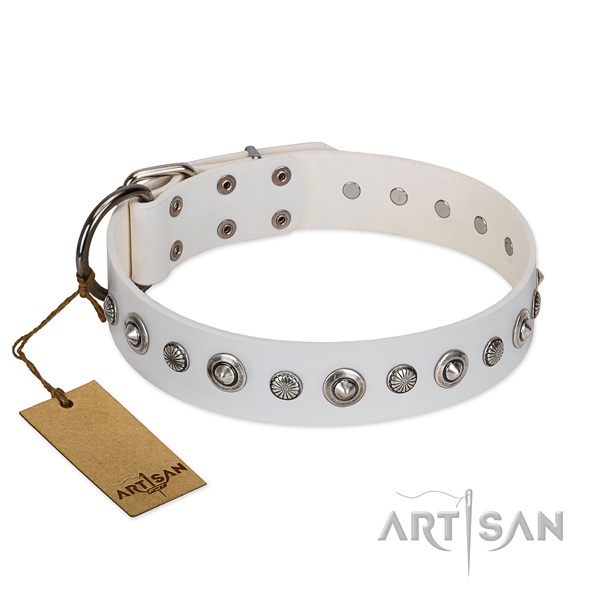 Finest quality leather dog collar with impressive decorations