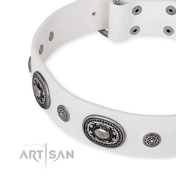 Quality full grain natural leather dog collar crafted for your attractive canine