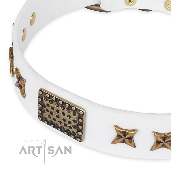 Natural genuine leather collar with durable hardware for your beautiful pet