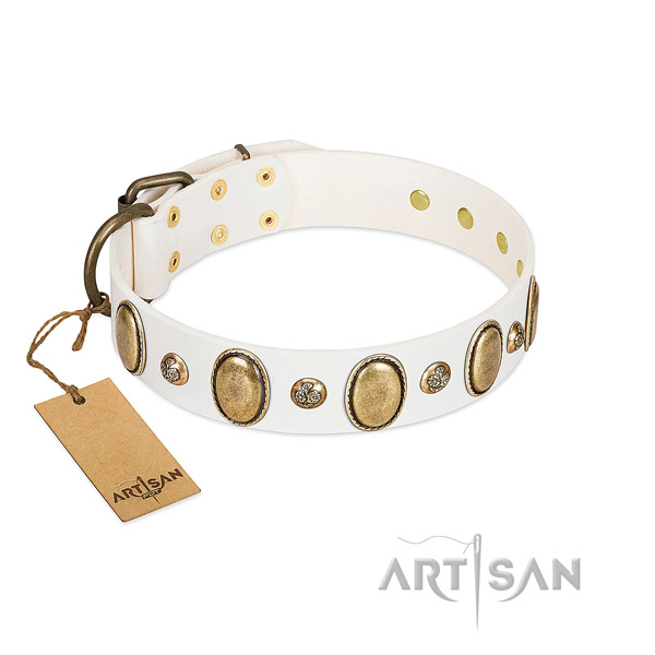 Leather dog collar of quality material with trendy studs