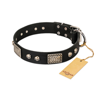 (image for) "Pirates Gold" FDT Artisan Black Leather American Bulldog Collar with Old Silver Look Plates and Skulls