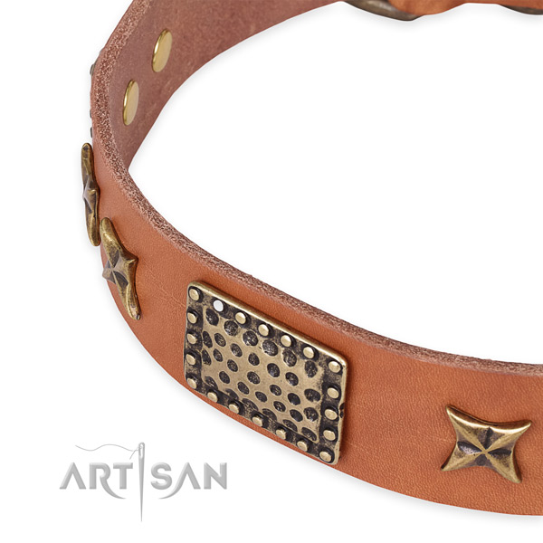 Leather collar with strong traditional buckle for your beautiful canine