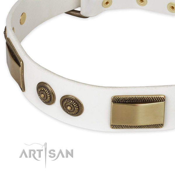 Rust-proof studs on natural genuine leather dog collar for your canine