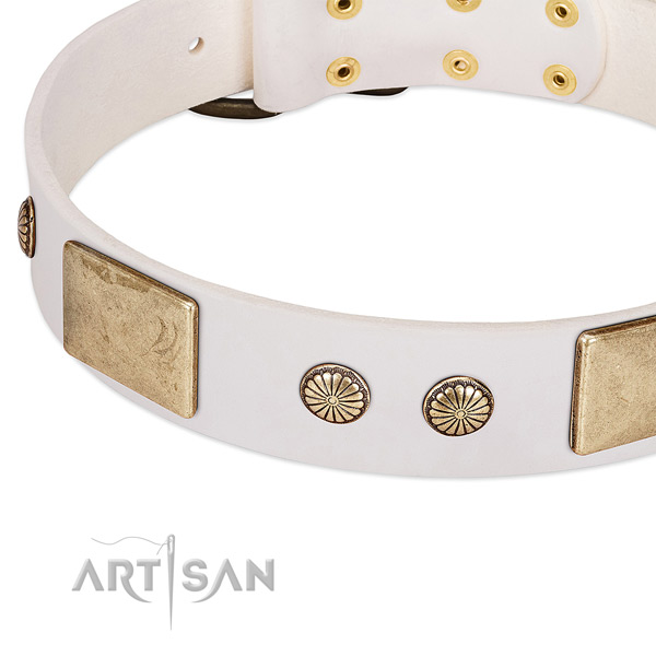 Durable adornments on genuine leather dog collar for your pet