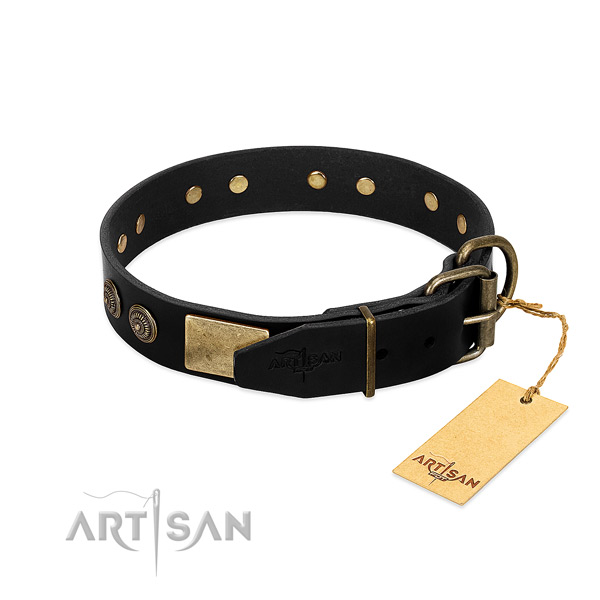 Rust resistant embellishments on natural leather dog collar for your canine
