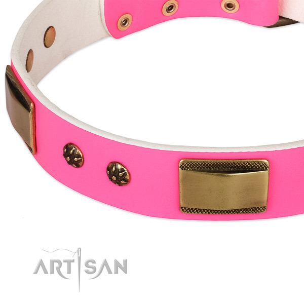 Corrosion resistant embellishments on leather dog collar for your doggie
