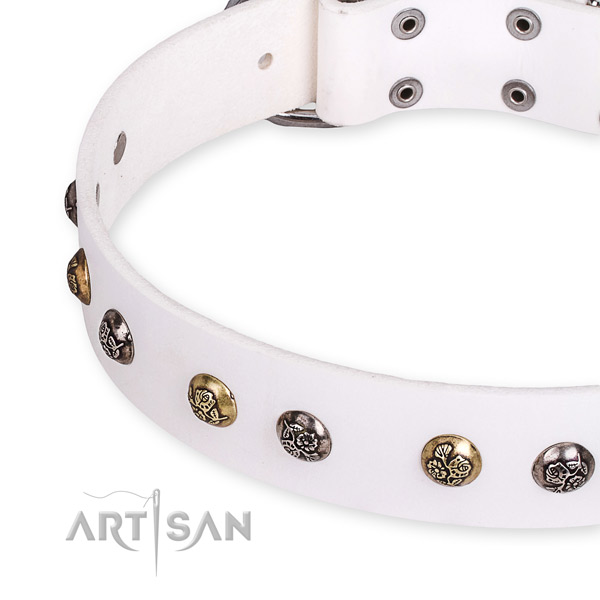 Full grain natural leather dog collar with stylish durable adornments