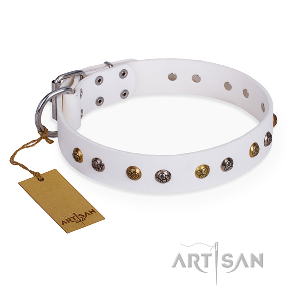Comfortable wearing stylish dog collar with durable fittings