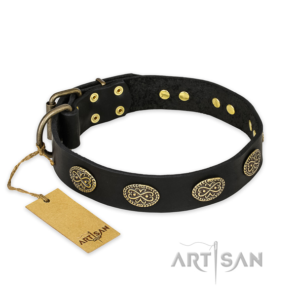 Fashionable full grain leather dog collar with durable hardware