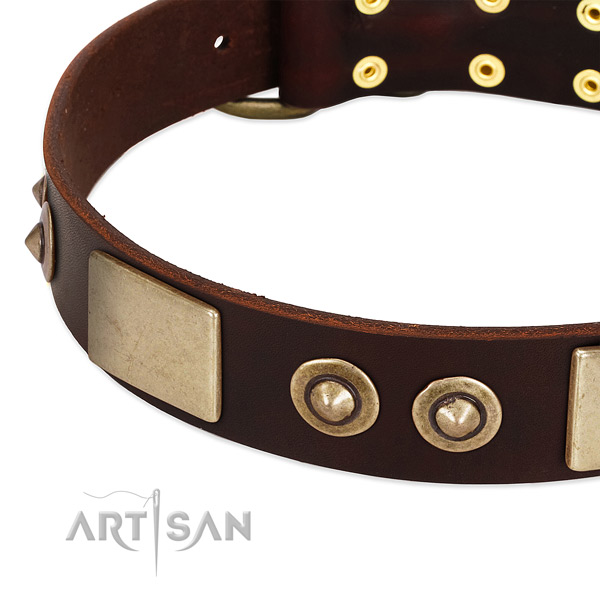 Durable adornments on full grain leather dog collar for your pet