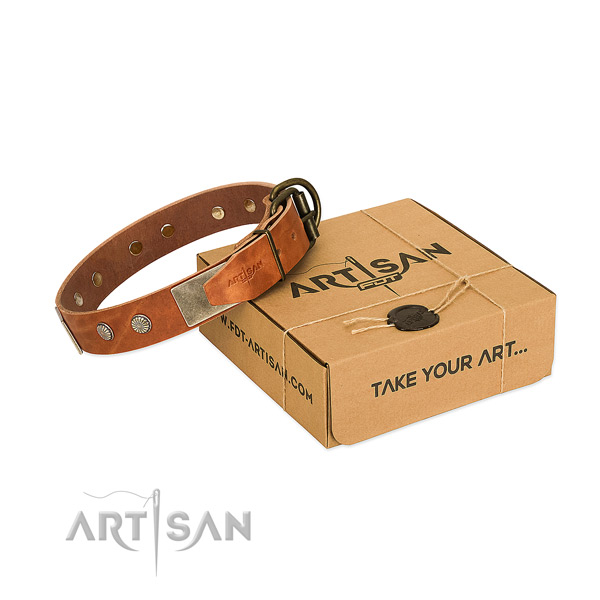 Rust resistant embellishments on dog collar for basic training