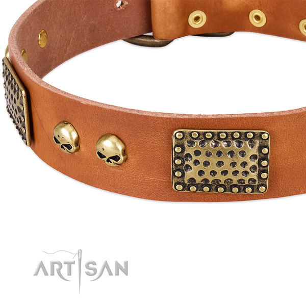 Durable decorations on leather dog collar for your doggie