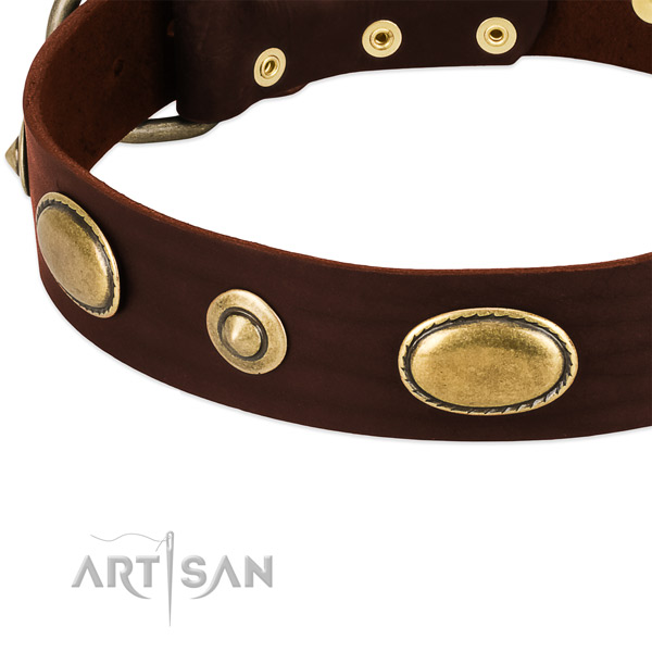 Strong embellishments on full grain natural leather dog collar for your canine