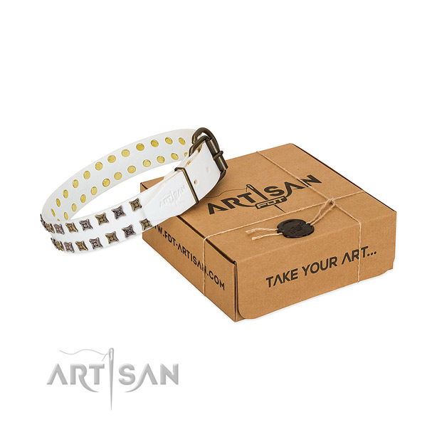 Leather collar with extraordinary adornments for your dog
