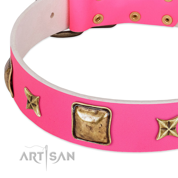 Genuine leather dog collar with stylish design embellishments