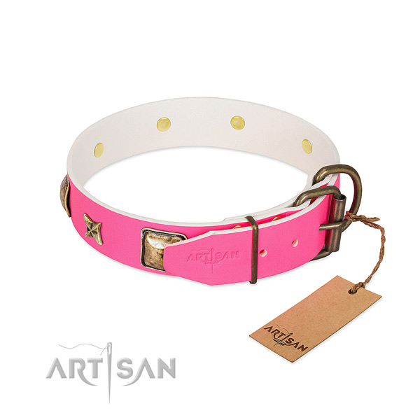 Corrosion resistant hardware on full grain leather collar for everyday walking your four-legged friend
