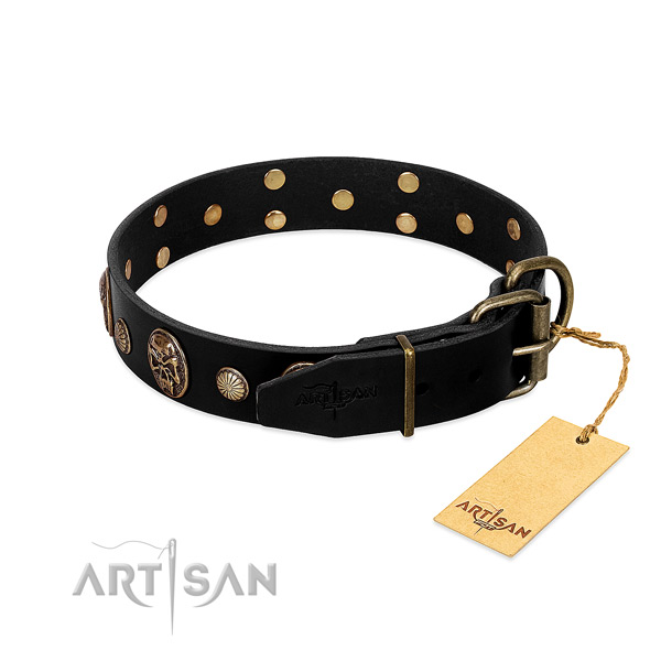 Strong fittings on natural leather collar for fancy walking your dog