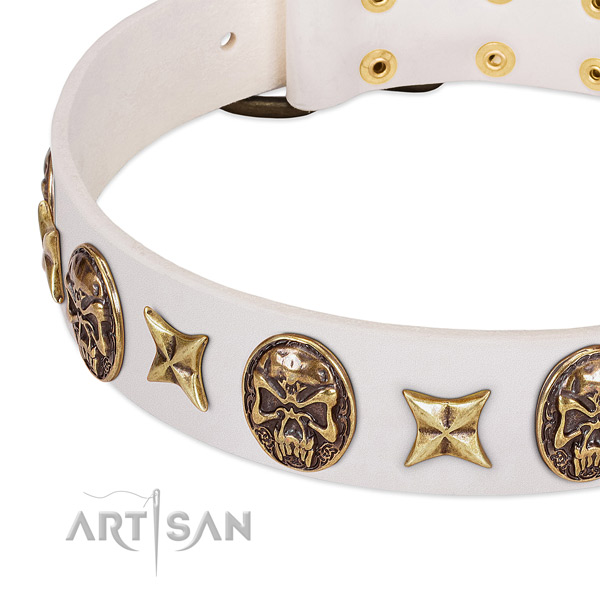 Designer dog collar made for your stylish canine