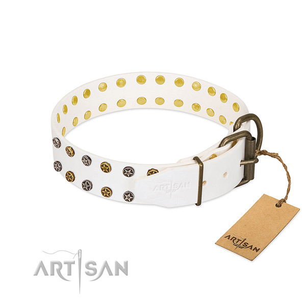 Full grain leather collar with fashionable adornments for your pet