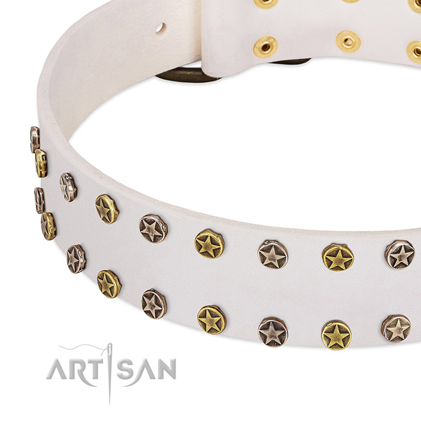 Fashionable decorations on full grain natural leather collar for your dog