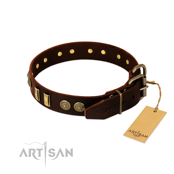 Reliable embellishments on leather dog collar for your canine
