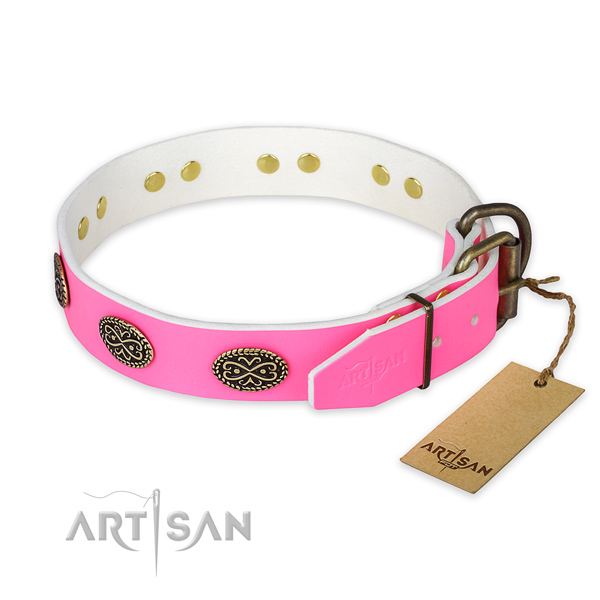 Rust resistant buckle on everyday use dog collar
