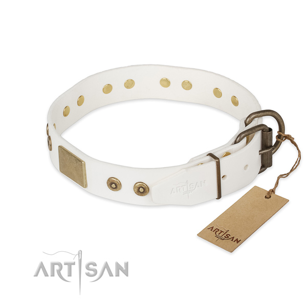 Natural leather dog collar with strong buckle and embellishments