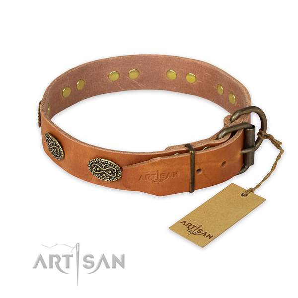 Reliable traditional buckle on natural genuine leather collar for daily walking your dog