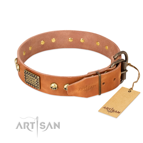 Strong buckle on basic training dog collar