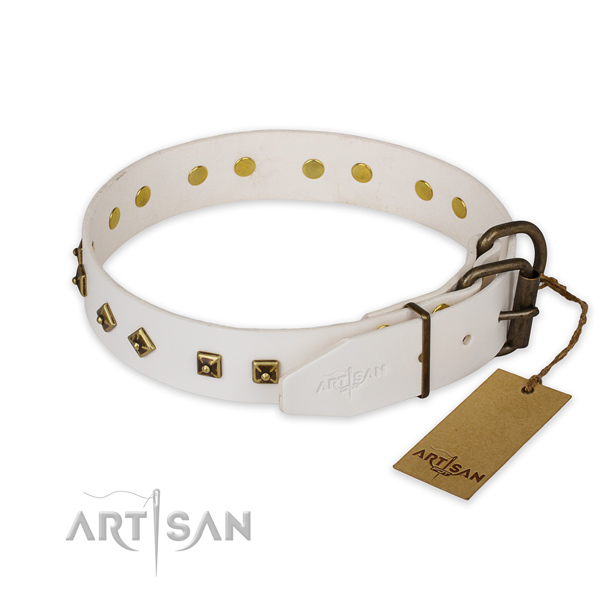 Durable traditional buckle on genuine leather collar for everyday walking your pet