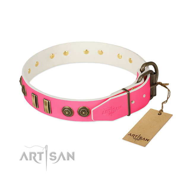 Rust resistant studs on full grain natural leather dog collar for your doggie
