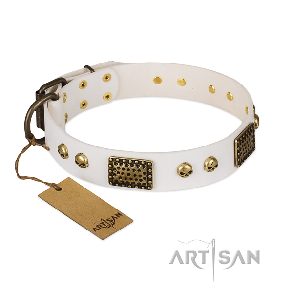 Rust-proof traditional buckle on walking dog collar