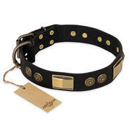 (image for) "Ancient Egypt" FDT Artisan Leather American Bulldog Collar with Old Bronze Look Decorations