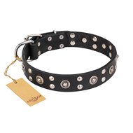 (image for) "Refined Essence" FDT Artisan Black Leather American Bulldog Collar with Silvery Studs