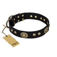 (image for) "High Fashion" FDT Artisan Studded with Plates Black Leather American Bulldog Collar