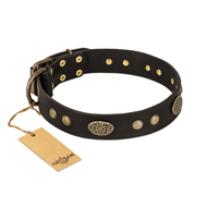 (image for) "Perfect Tracery" FDT Artisan Black Leather American Bulldog Collar with Old Bronze Look Plates and Circles