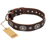 (image for) "Extra Pizzazz" FDT Artisan Adorned Brown Leather American Bulldog Collar