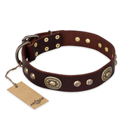 (image for) "Breath of Elegance" FDT Artisan Decorated with Plates Brown Leather American Bulldog Collar