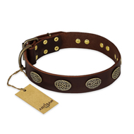 (image for) "Chocolate kiss" FDT Artisan Leather American Bulldog Collar with Old Bronze Look Oval Plates