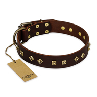 (image for) "Fashion Studs" FDT Artisan Decorated Leather American Bulldog Collar with Old Bronze-Plated Steel Hardware