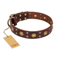(image for) "Caprice of Fashion" FDT Artisan Brown Leather American Bulldog Collar with Round Decorations