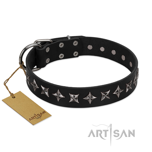Basic training dog collar of fine quality leather with embellishments