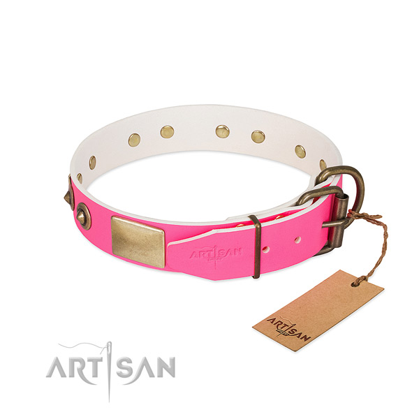 Rust resistant D-ring on leather dog collar for your dog