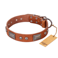 (image for) "Sparkling Skull" FDT Artisan Tan Leather American Bulldog Collar with Old Silver Look Plates and Skulls