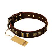 (image for) "Golden Elegance" FDT Artisan Brown Leather American Bulldog Collar with Old Bronze-like Decorations